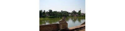 218. திருஎருக்கத்தம் புலியூர்